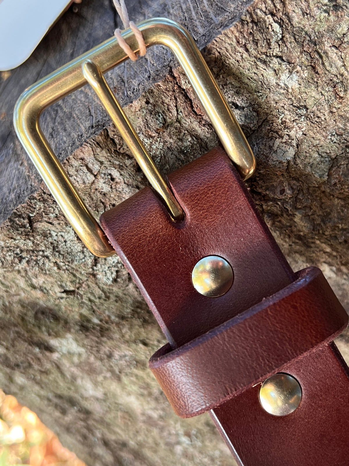 Holdfast belt
