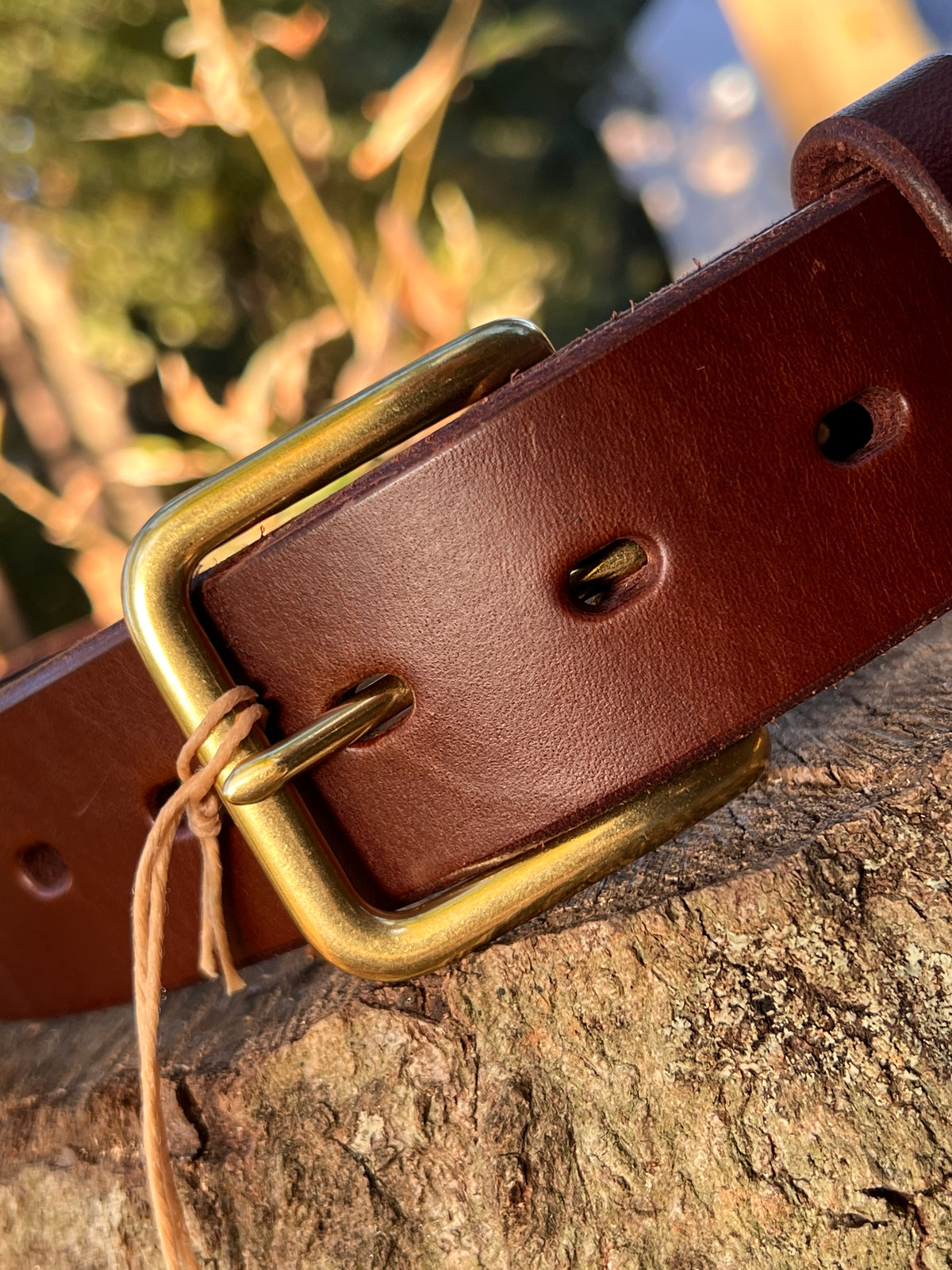 Holdfast belt